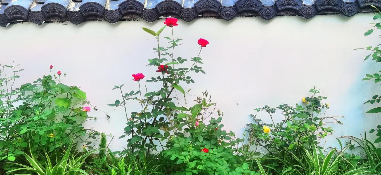 Tujia Folk Houses Жангжиаже Екстериор снимка